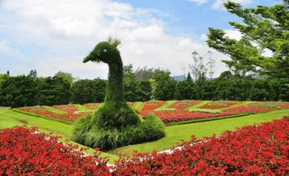 taman bunga nusantara